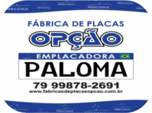 opcao